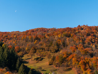 Village Transcarpathia region scenic Sunny Carpathian mountains view Ukraine, Europe. Autumn countryside rural landscape. Fall spruce pine trees lush foliage Eco Local tourism hiking Recreational area
