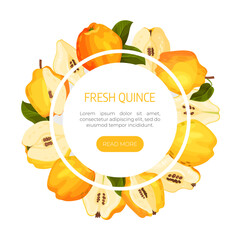 Quince Fruit Banner Design with Ripe Crop Vector Template