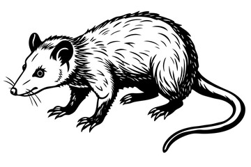 Minimalist Line Art: Silhouette Drawing of an Opossum