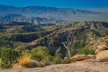 At sunrise a stunning panoramic view of a rugged mountain landscape with sprawling horizons and lush greenery. A solitary tree stands amidst rocky terrain, capturing the essence of untouched beauty.