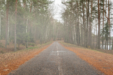 A serene road winds through a tranquil forest with tall trees and scattered autumn leaves, enveloped in a light mist by a calm lake, creating a peaceful atmosphere