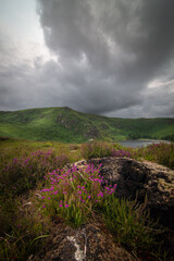 Lough Bray Upper, county Wickolw, Ireland