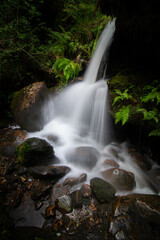 waterfall in the forest