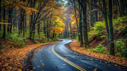 Fototapeta premium Dark grey asphalt road winding through a dense forest with fallen leaves and branches scattered along the edge, grey, branches