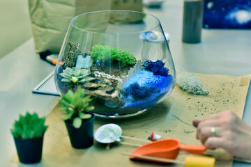 Terrarium making, beautiful terrariums in bowls