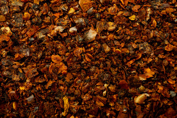 Dried chipotle morita chile flakes forming a textured background