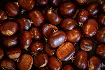 Close-up of Fresh Raw Chestnuts with Glossy Brown Shells