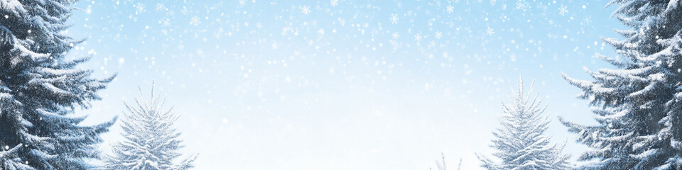 Obraz premium Horizontal banner snowy pine tree branches and clear sky with copy space for text