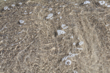 Close-up view of shallow seawater rippling over sandy texture, featuring foam bubbles and natural patterns illuminated by sunlight.