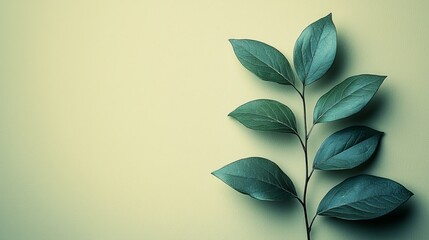 A single green leaf branch on a soft pastel background, symbolizing nature and calmness.