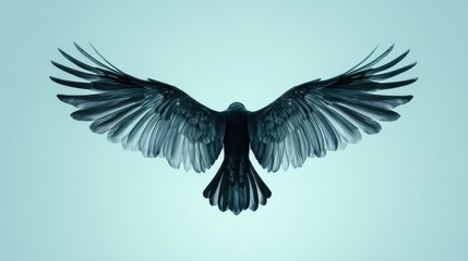 Naklejka premium Elegant Representation of a Simple Black Bird Wing Outline on a Soft Pastel Background, Ideal for Artistic Creations and Minimalistic Designs