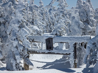 Traditional Torii Gate leading to a shrine buried in deep snow in a forest (Yokoteyama, Japan)