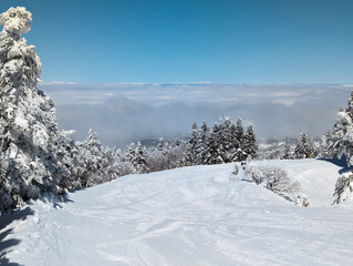 Obraz premium Fresh snowfall on ski slopes on a clear, winters day