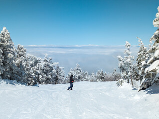 Skier on a flat area in the middle of a snow covered forest