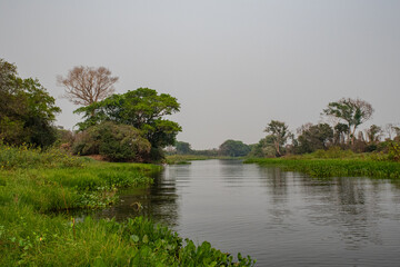 The Great Swamp of Pantanal, Brazil