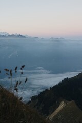 Foggy Mountain Valley at Twilight