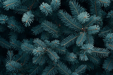 Christmas frame wallpaper, background