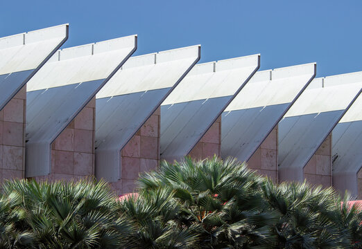Modern Architecture at LACMA with Palm Trees