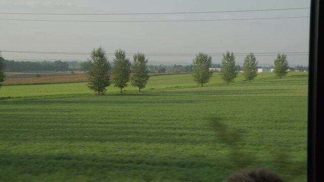 train driving through landscape near Leonding, Upper Austria