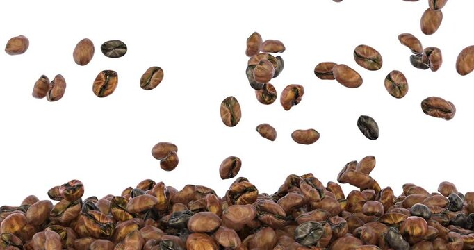 Coffee beans falling and fill screen. 3D animation on transparent background