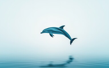 Obraz premium A dolphin gracefully leaps above calm waters against a soft blue background during a tranquil morning at the ocean