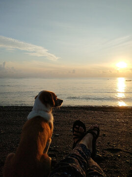 First-person view of feet on the beach with the sunrise over the sea in the background. A dog friend sits next and enjoys the sunset.