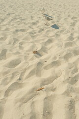 seagull on the white sand beach