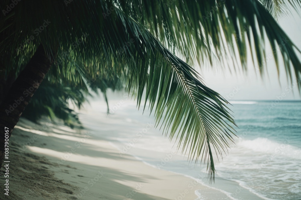 Poster A calm beach with a single palm tree in the foreground, suitable for use as a background or property image