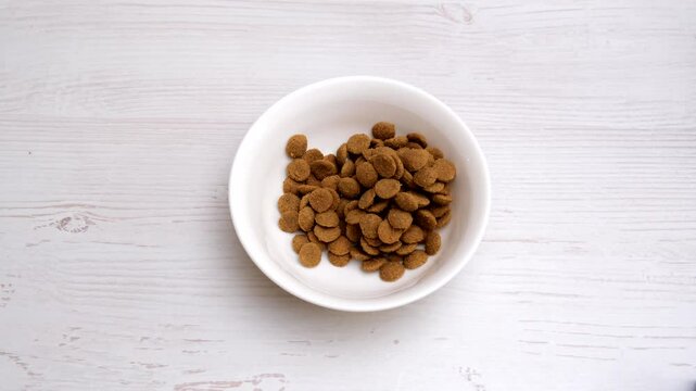 Pet Food pouring. Balanced dog food. Owner female hand is pour dry cat food into a steel gray cat bowl. Dry pet food falls into the bowl on the floor. Pet diet concept. Close-up. Dry animal feed
