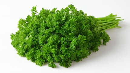 Fototapeta premium Fresh bunch of parsley on white background.