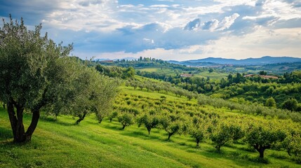 Rolling Hills and Lush Greenery