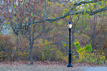 Lamp post and autumn foliage in central park, New York city. No visible people