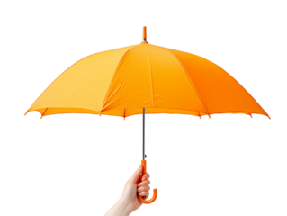 A hand holds a bright orange umbrella against a transparent white background on a sunny day