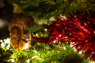Cute squirrel Christmas tree ornament surrounded by red tinsel and fairy lights. Festive season. © Marlon
