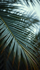 palm leaf pattern, cinematic