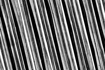 Obraz premium dark monochrom white ash tree wood timber texture grain pattern background