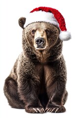 Grizzly Bear Wearing Santa Hat for Christmas