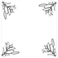 Obraz premium Frame with lilies in doodle style. Element for your design. Vector illustration isolated on white background.