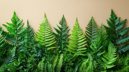 A vibrant arrangement of various green ferns and leaves against a neutral background.