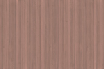 Fototapeta premium european beech tree wood timber texture grain pattern background