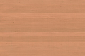 Fototapeta premium european beech tree wood timber texture grain pattern background