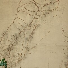 Wand, Pflanzen, Natur
Wall, plants, nature