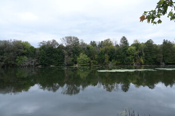 reflection of green trees in water,