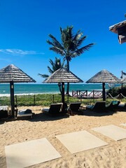 lounge chairs on the beach