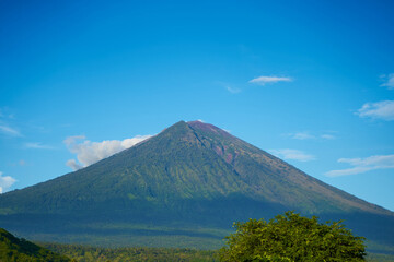 Fototapeta premium Panorama of Mount Agung and rice fields on the island of Bali. View of the mountain against a background of palm trees and a cornfield. Panorama of Agung volcano covered with clouds on a sunny day.