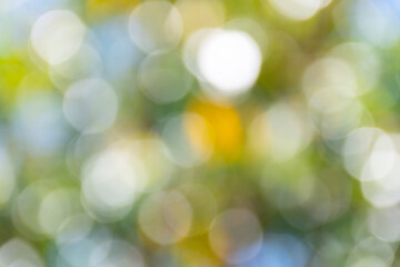 Background of out-of-focus vegetation lights