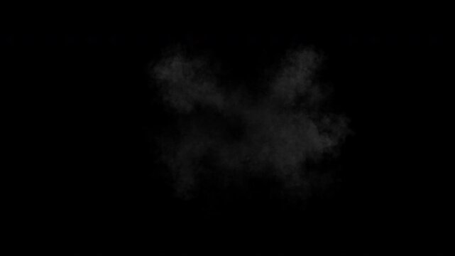 Shockwave smoke explosion. Steam or dust wave animation. Alpha channel is embedded