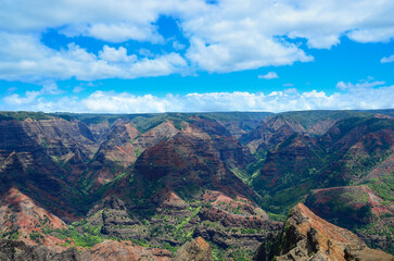 Fototapeta premium Beautiful Waimea Canyon