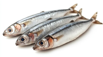 Three Fresh Silverfish on White Background