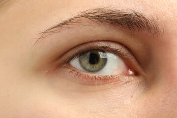 Obraz premium Macro view of young woman with beautiful eyes